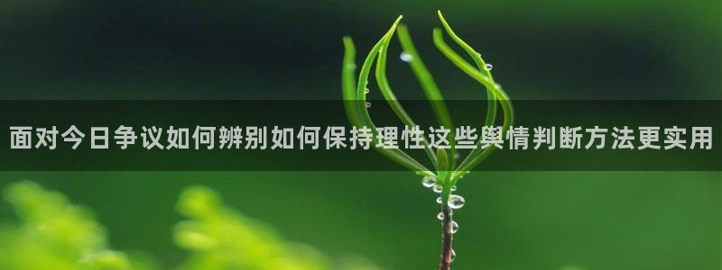 吃瓜黑料大全:面对今日争议如何辨别如何保持理性这些舆情判断方法更实用
