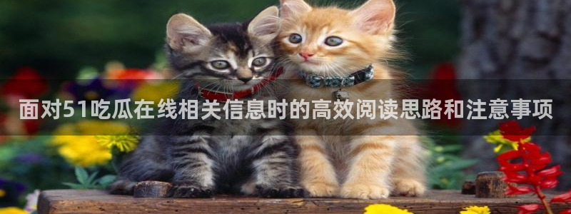 最新网曝黑料国产吃瓜:面对51吃瓜在线相关信息时的高效阅读思路和注意事项